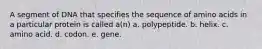 A segment of DNA that specifies the sequence of amino acids in a particular protein is called a(n) a. polypeptide. b. helix. c. amino acid. d. codon. e. gene.