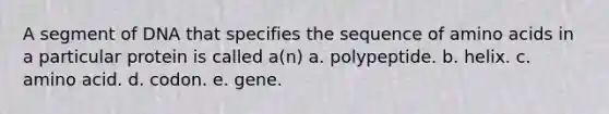 A segment of DNA that specifies the sequence of amino acids in a particular protein is called a(n) a. polypeptide. b. helix. c. amino acid. d. codon. e. gene.