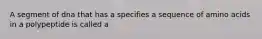 A segment of dna that has a specifies a sequence of amino acids in a polypeptide is called a