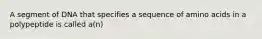 A segment of DNA that specifies a sequence of amino acids in a polypeptide is called a(n)