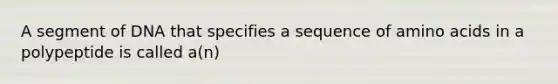 A segment of DNA that specifies a sequence of amino acids in a polypeptide is called a(n)