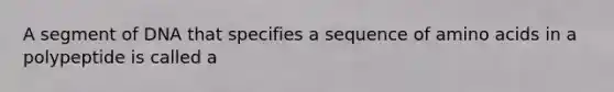 A segment of DNA that specifies a sequence of <a href='https://www.questionai.com/knowledge/k9gb720LCl-amino-acids' class='anchor-knowledge'>amino acids</a> in a polypeptide is called a
