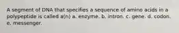 A segment of DNA that specifies a sequence of amino acids in a polypeptide is called a(n) a. enzyme. b. intron. c. gene. d. codon. e. messenger.