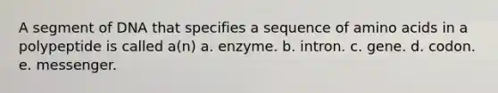 A segment of DNA that specifies a sequence of <a href='https://www.questionai.com/knowledge/k9gb720LCl-amino-acids' class='anchor-knowledge'>amino acids</a> in a polypeptide is called a(n) a. enzyme. b. intron. c. gene. d. codon. e. messenger.