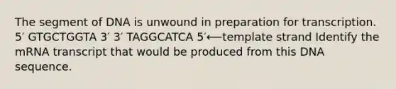 The segment of DNA is unwound in preparation for transcription. 5′ GTGCTGGTA 3′ 3′ TAGGCATCA 5′⟵template strand Identify the mRNA transcript that would be produced from this DNA sequence.