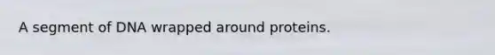 A segment of DNA wrapped around proteins.