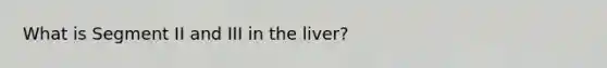 What is Segment II and III in the liver?