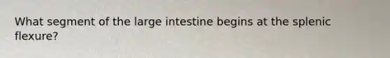 What segment of the large intestine begins at the splenic flexure?