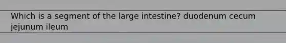 Which is a segment of the large intestine? duodenum cecum jejunum ileum
