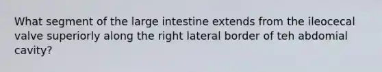 What segment of the large intestine extends from the ileocecal valve superiorly along the right lateral border of teh abdomial cavity?