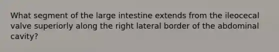 What segment of the large intestine extends from the ileocecal valve superiorly along the right lateral border of the abdominal cavity?