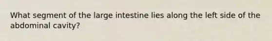 What segment of the large intestine lies along the left side of the abdominal cavity?