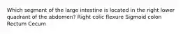 Which segment of the large intestine is located in the right lower quadrant of the abdomen? Right colic flexure Sigmoid colon Rectum Cecum