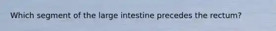 Which segment of the large intestine precedes the rectum?