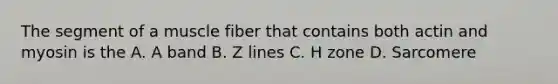 The segment of a muscle fiber that contains both actin and myosin is the A. A band B. Z lines C. H zone D. Sarcomere