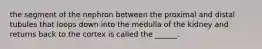 the segment of the nephron between the proximal and distal tubules that loops down into the medulla of the kidney and returns back to the cortex is called the ______.
