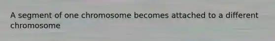A segment of one chromosome becomes attached to a different chromosome