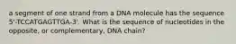 a segment of one strand from a DNA molecule has the sequence 5'-TCCATGAGTTGA-3'. What is the sequence of nucleotides in the opposite, or complementary, DNA chain?