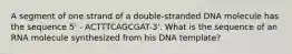 A segment of one strand of a double-stranded DNA molecule has the sequence 5' - ACTTTCAGCGAT-3'. What is the sequence of an RNA molecule synthesized from his DNA template?