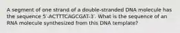 A segment of one strand of a double-stranded DNA molecule has the sequence 5′-ACTTTCAGCGAT-3′. What is the sequence of an RNA molecule synthesized from this DNA template?