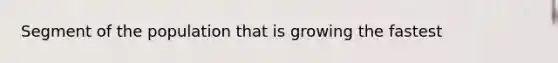 Segment of the population that is growing the fastest