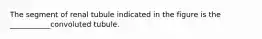 The segment of renal tubule indicated in the figure is the ___________convoluted tubule.