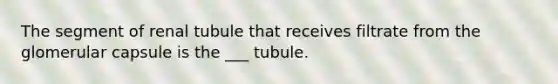 The segment of renal tubule that receives filtrate from the glomerular capsule is the ___ tubule.