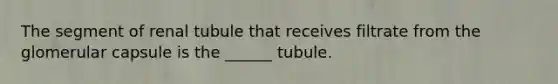 The segment of renal tubule that receives filtrate from the glomerular capsule is the ______ tubule.