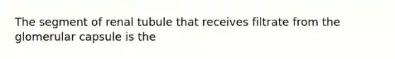 The segment of renal tubule that receives filtrate from the glomerular capsule is the