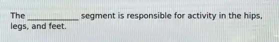 The _____________ segment is responsible for activity in the hips, legs, and feet.