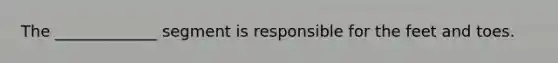 The _____________ segment is responsible for the feet and toes.