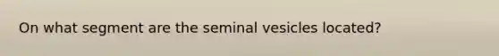 On what segment are the seminal vesicles located?