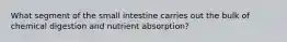 What segment of the small intestine carries out the bulk of chemical digestion and nutrient absorption?