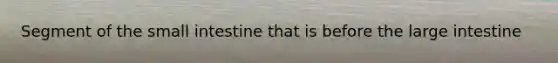 Segment of the small intestine that is before the large intestine