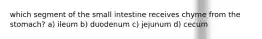 which segment of the small intestine receives chyme from the stomach? a) ileum b) duodenum c) jejunum d) cecum