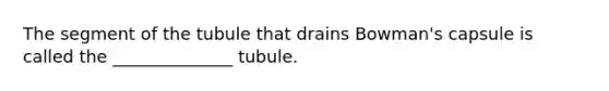 The segment of the tubule that drains Bowman's capsule is called the ______________ tubule.