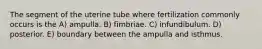 The segment of the uterine tube where fertilization commonly occurs is the A) ampulla. B) fimbriae. C) infundibulum. D) posterior. E) boundary between the ampulla and isthmus.