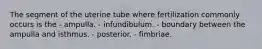 The segment of the uterine tube where fertilization commonly occurs is the - ampulla. - infundibulum. - boundary between the ampulla and isthmus. - posterior. - fimbriae.