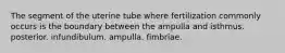 The segment of the uterine tube where fertilization commonly occurs is the boundary between the ampulla and isthmus. posterior. infundibulum. ampulla. fimbriae.