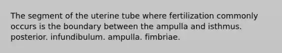 The segment of the uterine tube where fertilization commonly occurs is the boundary between the ampulla and isthmus. posterior. infundibulum. ampulla. fimbriae.