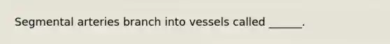 Segmental arteries branch into vessels called ______.