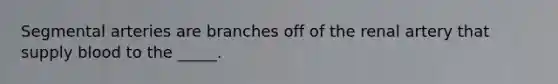 Segmental arteries are branches off of the renal artery that supply blood to the _____.
