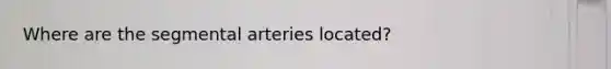 Where are the segmental arteries located?