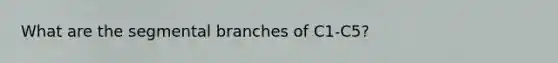 What are the segmental branches of C1-C5?