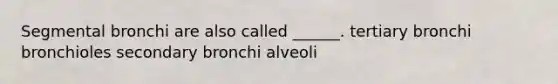 Segmental bronchi are also called ______. tertiary bronchi bronchioles secondary bronchi alveoli