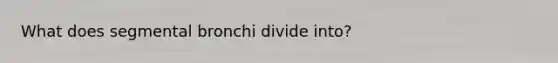 What does segmental bronchi divide into?