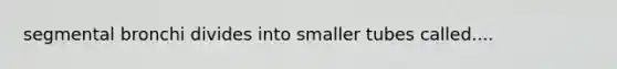 segmental bronchi divides into smaller tubes called....