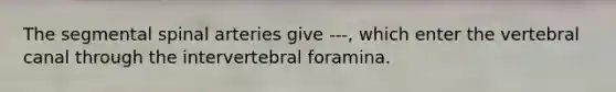 The segmental spinal arteries give ---, which enter the vertebral canal through the intervertebral foramina.