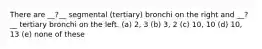 There are __?__ segmental (tertiary) bronchi on the right and __?__ tertiary bronchi on the left. (a) 2, 3 (b) 3, 2 (c) 10, 10 (d) 10, 13 (e) none of these