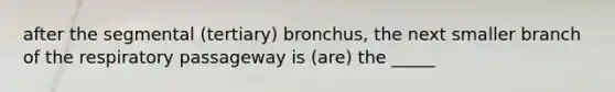 after the segmental (tertiary) bronchus, the next smaller branch of the respiratory passageway is (are) the _____